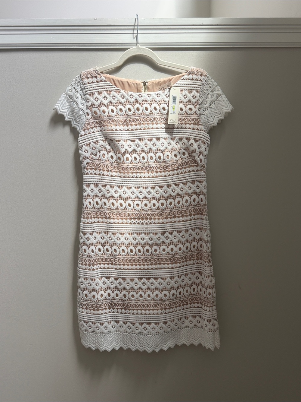 NWT Eliza J White Lace Overlay Dress with Nude Lining Sz 4